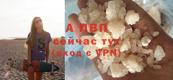 Альфа ПВП Верея
