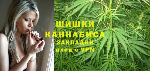 Альфа ПВП Верея