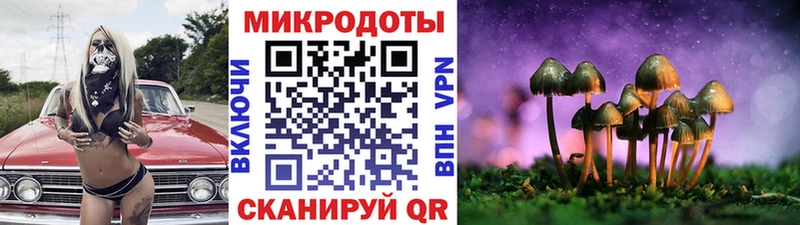 Псилоцибиновые грибы Psilocybe Гай