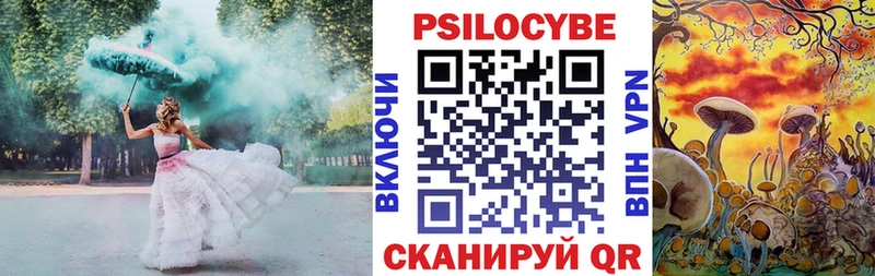 блэк спрут как войти  Гай  Галлюциногенные грибы Magic Shrooms 