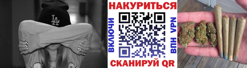 Конопля планчик  Гай 
